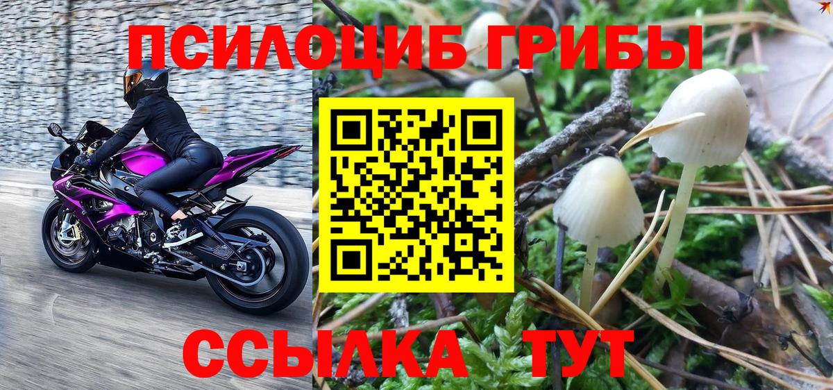 Галлюциногенные грибы Psilocybine cubensis  Галлюциногенные грибы Magic Shrooms  Вход с VPN  Томск 